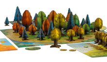 Load image into Gallery viewer, Photosynthesis