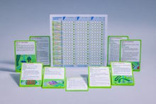 Load image into Gallery viewer, Rolling Realms