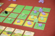 Load image into Gallery viewer, Silk