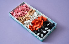 Load image into Gallery viewer, New York Zoo