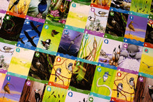 Load image into Gallery viewer, Birds of a Feather Western North America