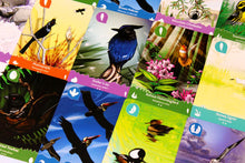 Load image into Gallery viewer, Birds of a Feather Western North America